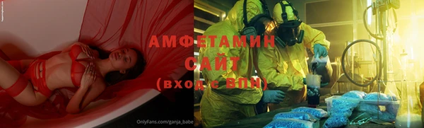 ГАЛЛЮЦИНОГЕННЫЕ ГРИБЫ Аркадак