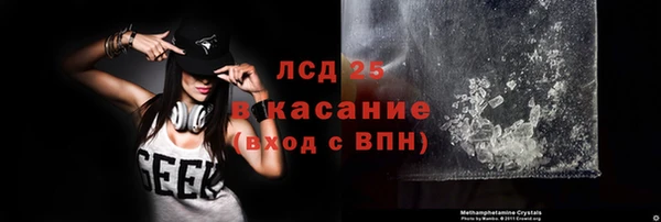 ГАЛЛЮЦИНОГЕННЫЕ ГРИБЫ Аркадак