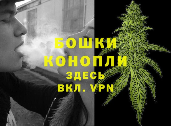 ешки Арсеньев