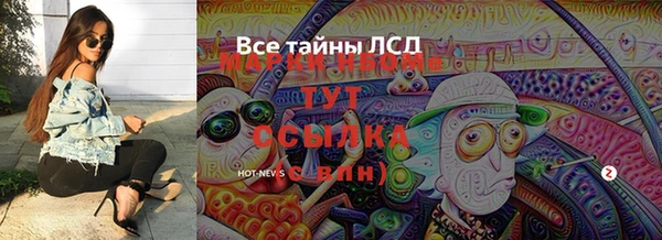 ГАЛЛЮЦИНОГЕННЫЕ ГРИБЫ Аркадак