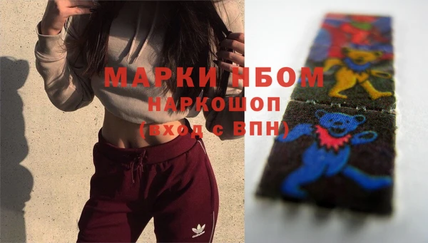 ГАЛЛЮЦИНОГЕННЫЕ ГРИБЫ Аркадак